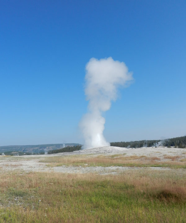 Yellowstone Geiser